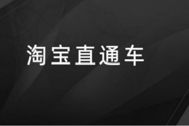 直通車全店托管是什么